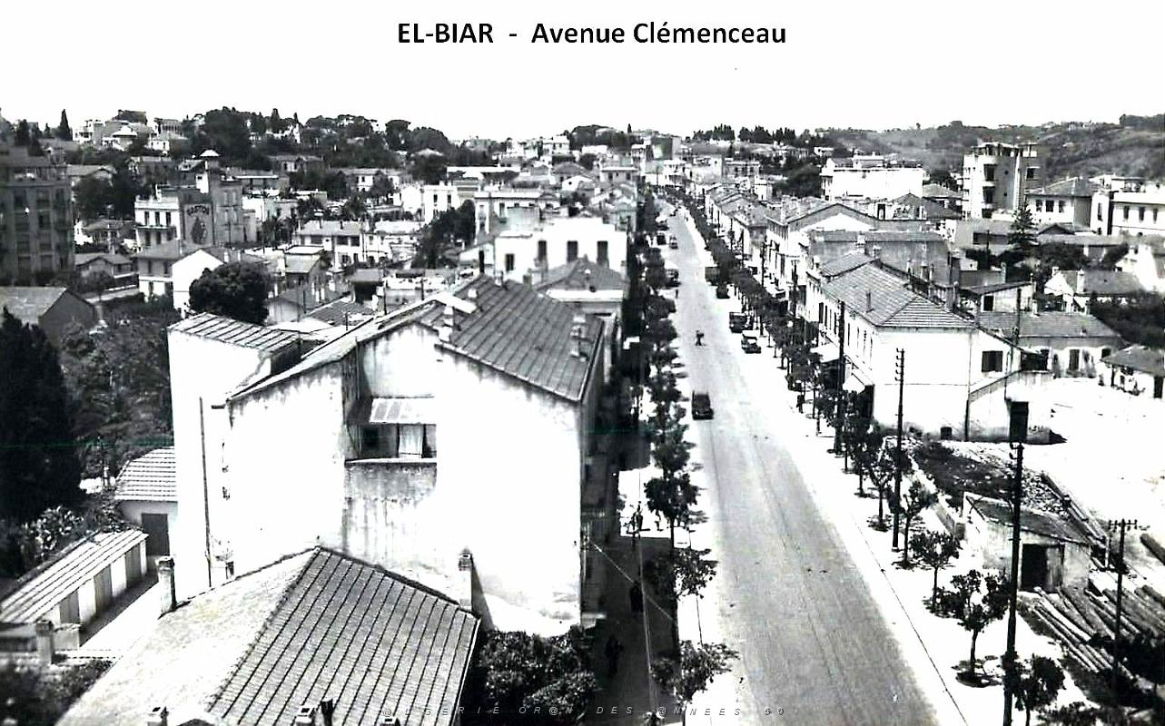 El-Biar - Avenue Clemenceau.jpg